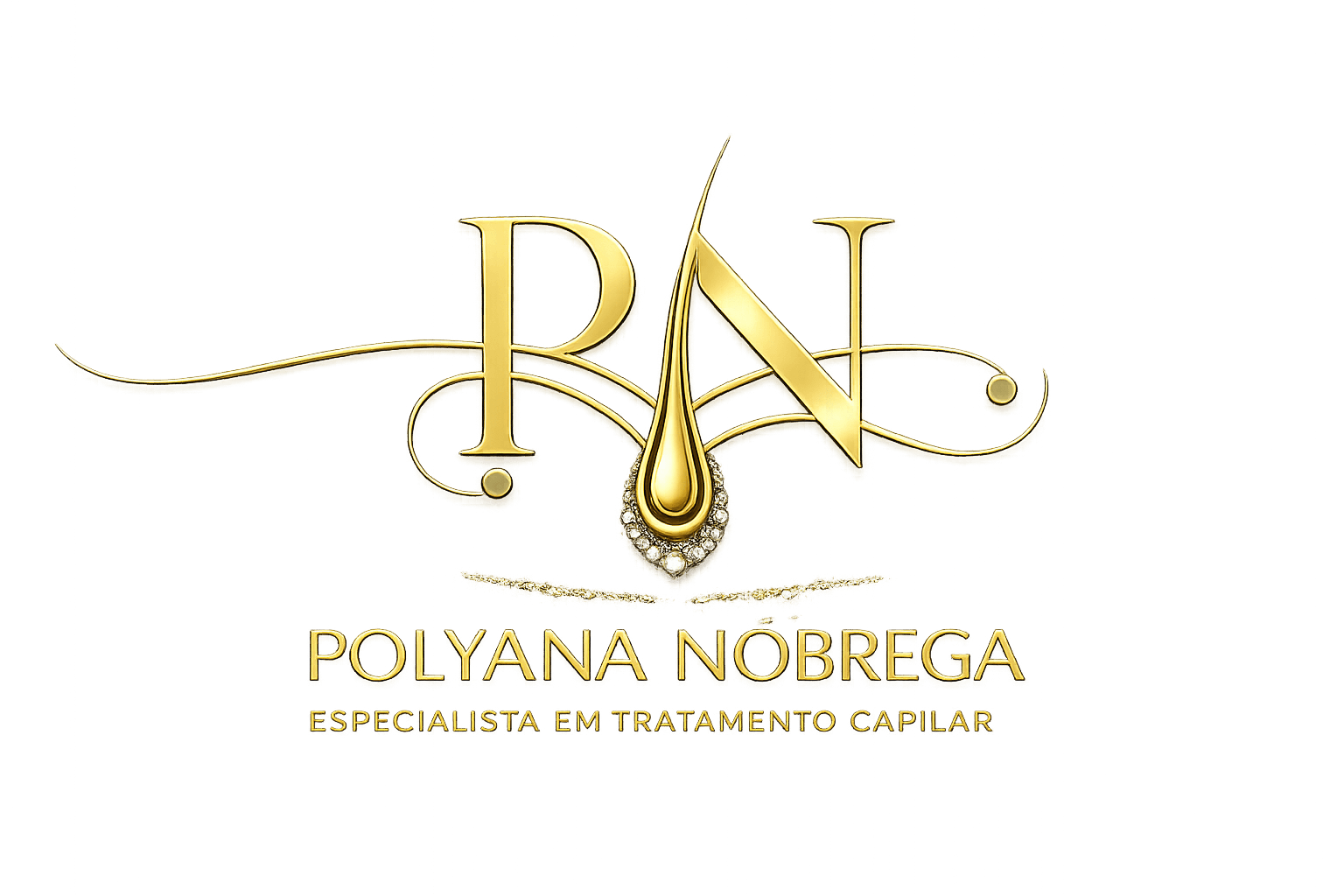 Polyana Nóbrega Logo